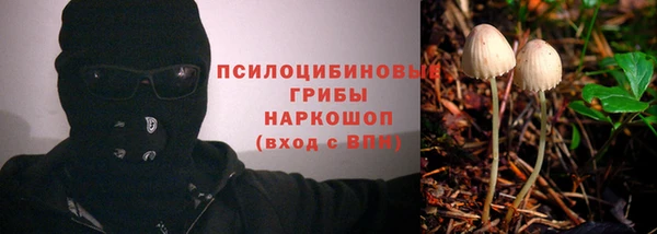 амф Пересвет