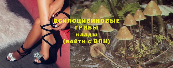 амф Пересвет