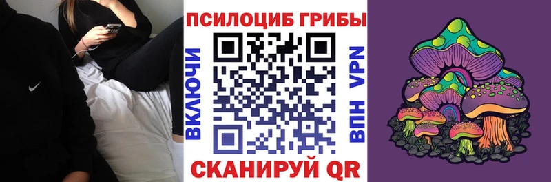 Псилоцибиновые грибы Psilocybe  Купить  Горнозаводск 